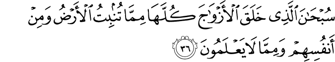 Quran – The Greatest Miracle of Prophet Muhammad (PBUH)
