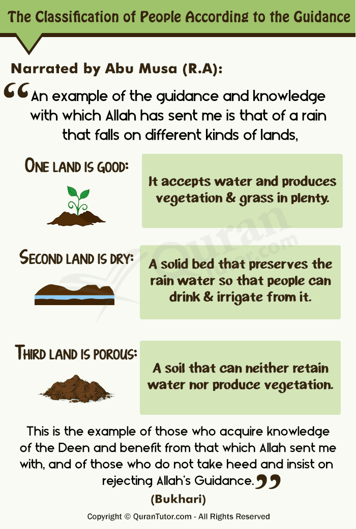 3 kinds of soil
