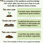 3 kinds of soil